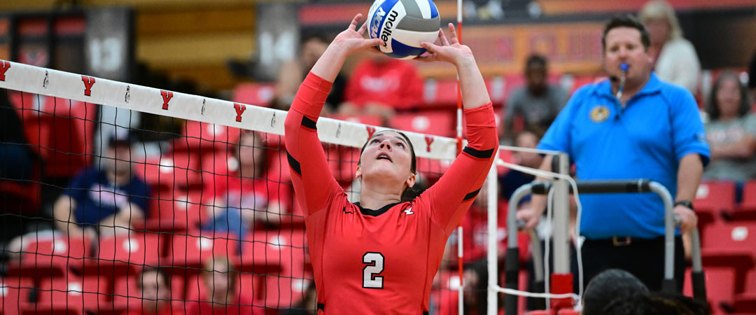 Youngstown Volleyball Slide 4